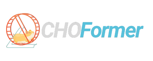 CHOFormer